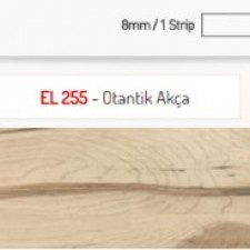 Otantik Akça Otantik Akça